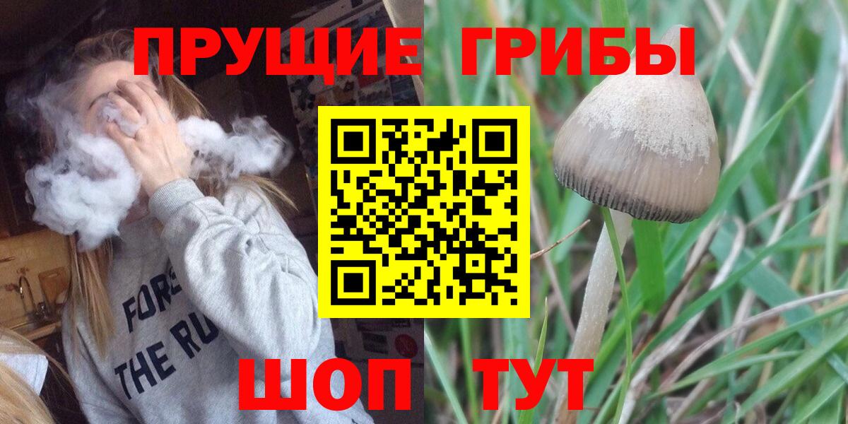 Псилоцибиновые грибы прущие грибы Борисоглебск