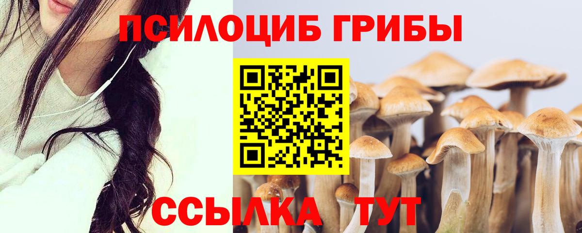 Псилоцибиновые грибы Psilocybe  Псилоцибиновые грибы Magic Shrooms  Вход с VPN  Борисоглебск 